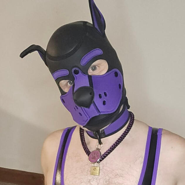 GoodboyChai